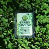 Spring Dawning Gaming Candle