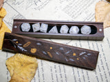 Leadwood Dice Box
