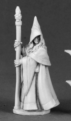 Anirion, Wood Elf Wizard
